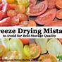 Best Practices For Freeze Drying Temperatures