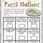 Fossil Types Worksheet