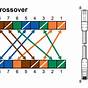Ethernet Patch Cable Wiring