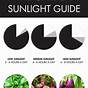 Vegetable Garden Sun Requirements
