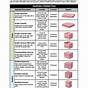 Epithelial Tissue Worksheet Answers