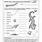 Consumers Producers Decomposers Worksheet