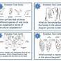Reinforcement Evolution Worksheet Answers Biology Corner