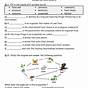 Ecosystem 4th Grade Worksheet