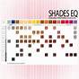 Redken Eq Gloss Chart