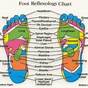 High Resolution Foot Reflexology Chart