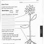 Fifth Grade Science Worksheets