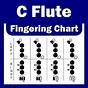 Free Flute Finger Chart Printable