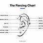 Ear Piercings Chart Healing Time