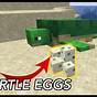 Turtle Egg Minecraft Hatch Time