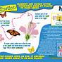 Pollinator Worksheets For Kids