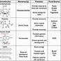 Biomolecules And Enzymes Practice Worksheet