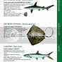 Fish Size Chart Florida