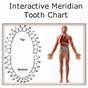 Tooth To Body Chart