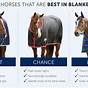 Horse Blanket Weight Chart