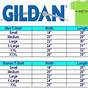 Gildan T-shirts Size Chart
