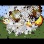 Tnt Explodes Minecraft