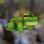 All Frog Variants Minecraft