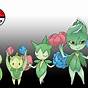 Pokemon Bounsweet Evolution Chart