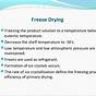 Freeze Drying Process Explained