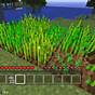 Minecraft Ps Vita Mods Free Download