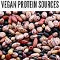 Protein Sources For Vegans