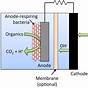 Fuel Cell Circuit Diagram