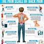 Back Pain Diagnosis Chart