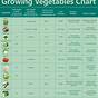Vegetable Water Requirements Chart