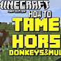 Taming A Donkey Minecraft
