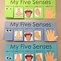 Printable 5 Senses Craft