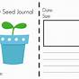 From Seed To Plant Printable Book