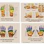 Hand And Foot Reflexology Chart