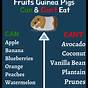 Guinea Pigs Food Chart