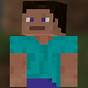 Steve Minecraft Beard