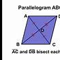 Properties Of A Parallelogram Worksheet