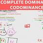 Codominance Vs Incomplete Dominance Pdf