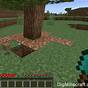 Rooted Dirt Minecraft