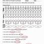 Proteins Synthesis Translation Worksheet Answers