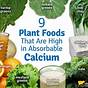 Calcium For Vegan Sources