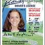 Kentucky Driver's License Manual Pdf
