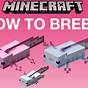 Axolotl Breed Minecraft
