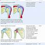 Shoulder And Arm Pain Diagnosis Chart