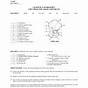 Chapter 17 Worksheet The Thigh Hip Groin And Pelvis
