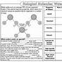 Properties Of Water Biology Worksheet