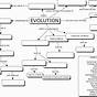 Evolution Vocabulary Worksheets