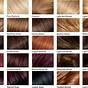 Hair Number Color Chart