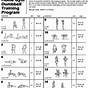 Full Body Dumbbell Workout Chart Pdf