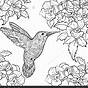 Hummingbird Color Sheets