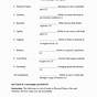 Exercise Physical Education Printable Worksheets